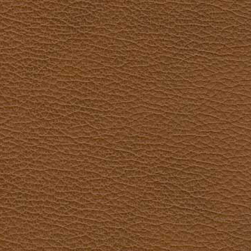 Sierra-1003 cognac
